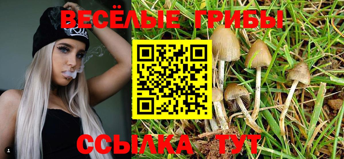 Галлюциногенные грибы GOLDEN TEACHER Похвистнево